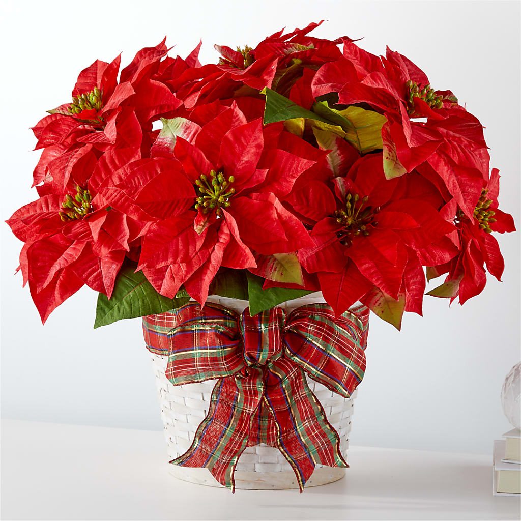 Happiest Holidays Poinsettia – Portage Florals, Portage PA