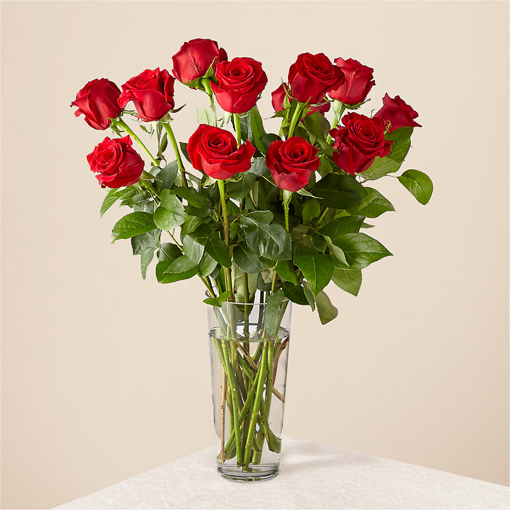 Long Stem Red Rose Bouquet – Portage Florals, Portage PA