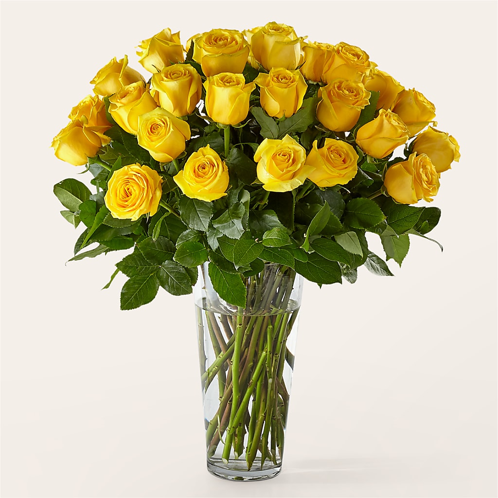 Long Stem Yellow Rose Bouquet – Portage Florals, Portage PA