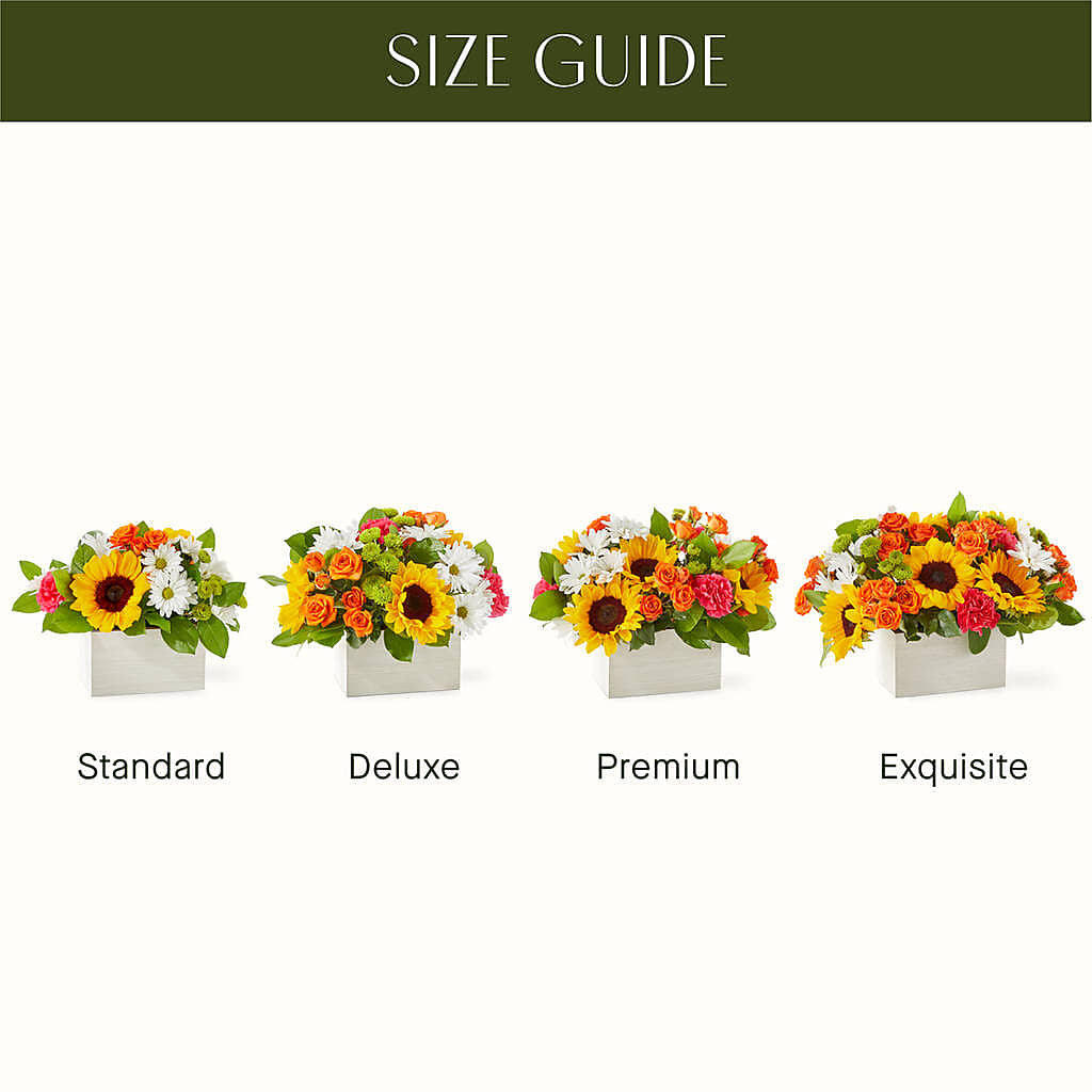 Sun-drenched Blooms Box Bouquet – Portage Florals, Portage PA