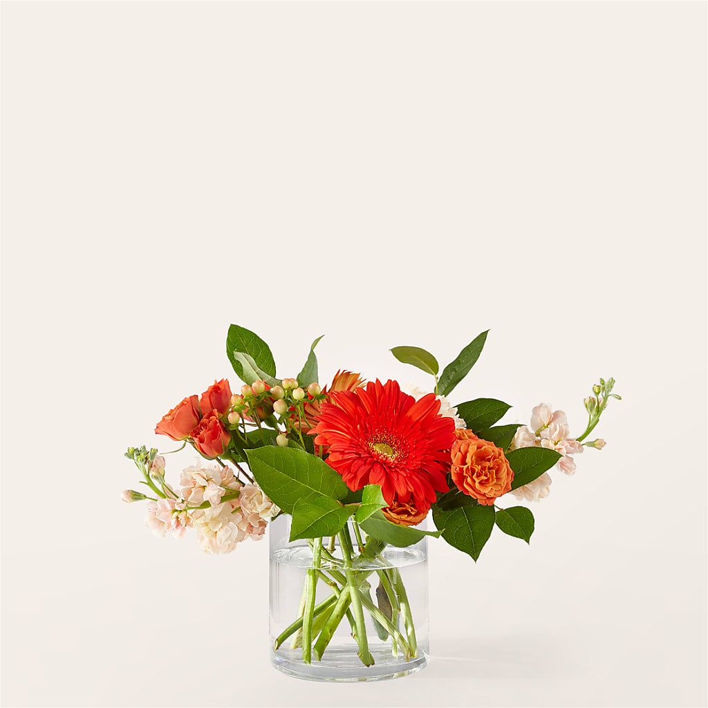 Paloma Please Bouquet – Portage Florals, Portage PA