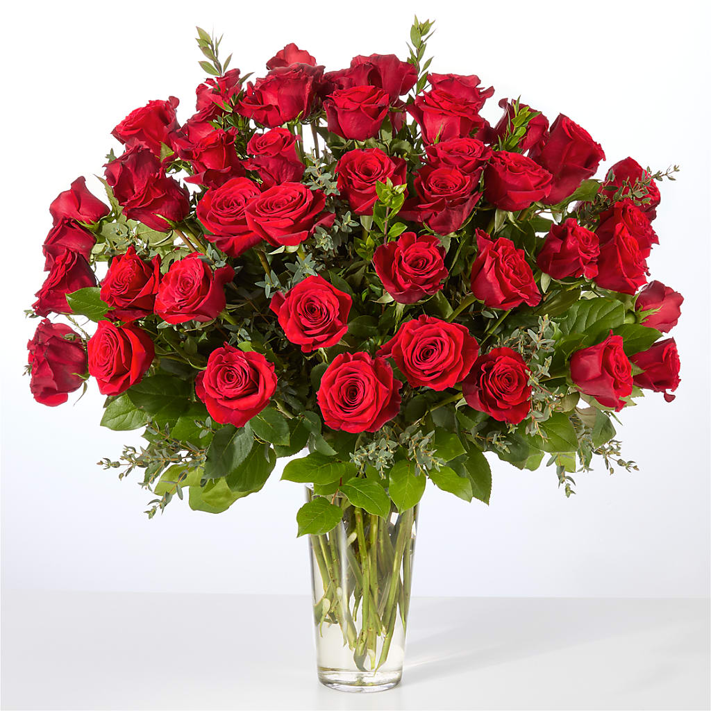 Forever Yours Fifty Stem Red Rose Bouquet – Portage Florals, Portage PA