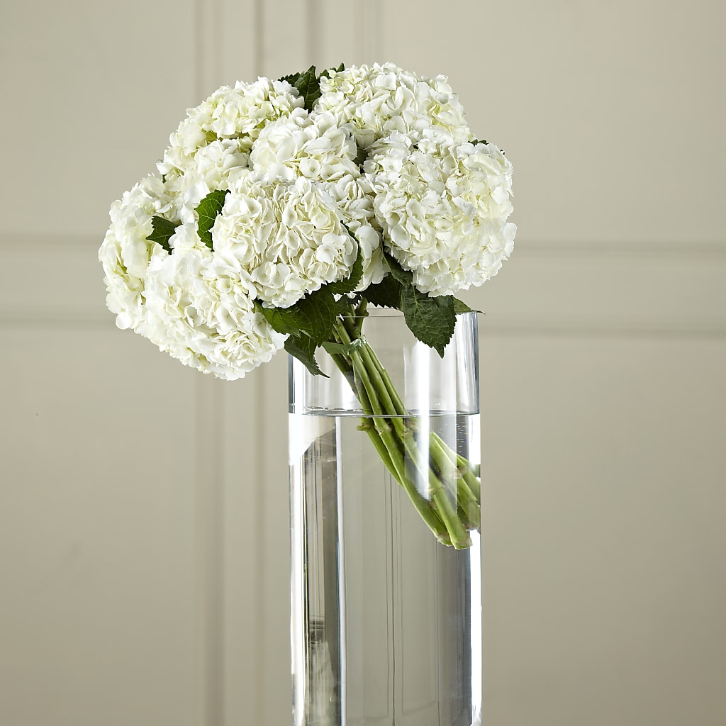 White Hydrangea Hand-Tied Bouquet – Portage Florals, Portage PA