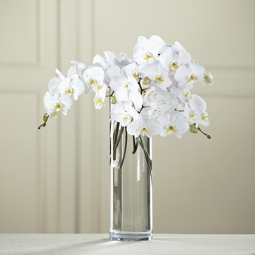 White Phalaenopsis Bouquet – Portage Florals, Portage PA