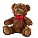 Adorable Plush Bear –  Portage Florals, Portage PA