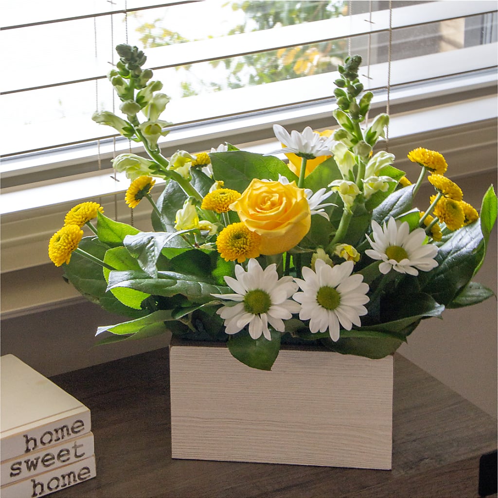 Sun Salutation Box Bouquet –  Portage Florals, Portage PA