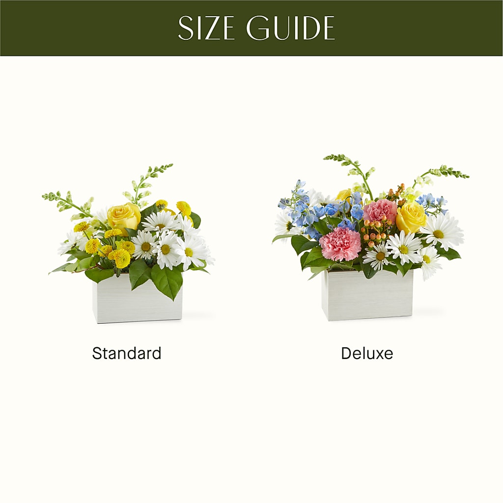 Sun Salutation Box Bouquet –  Portage Florals, Portage PA