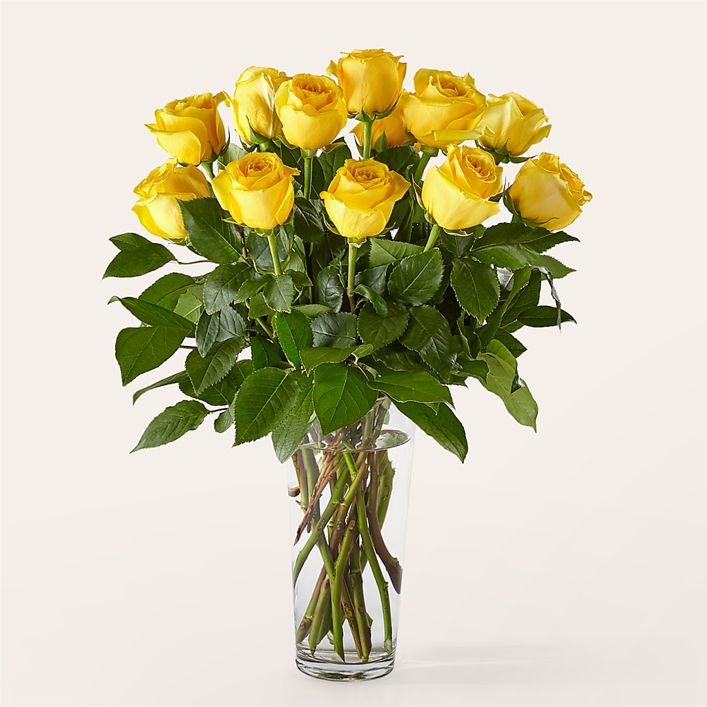 Long Stem Yellow Rose Bouquet –  Portage Florals, Portage PA