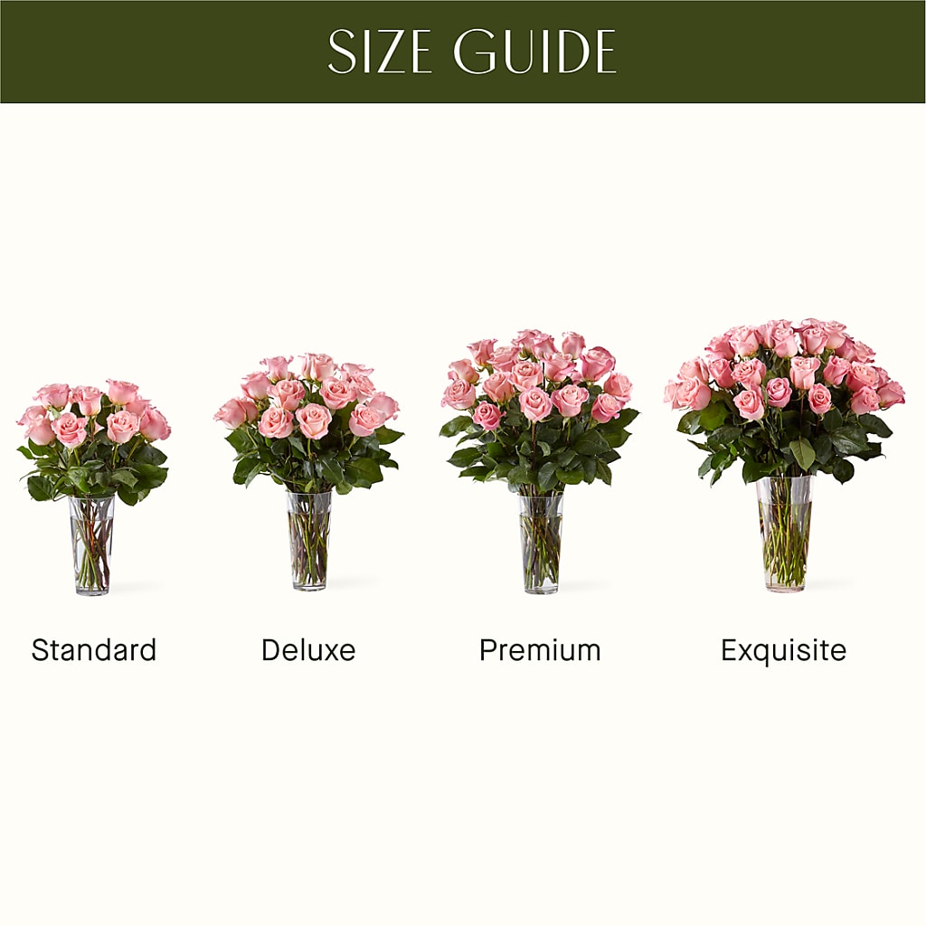 Long Stem Pink Rose Bouquet –  Portage Florals, Portage PA