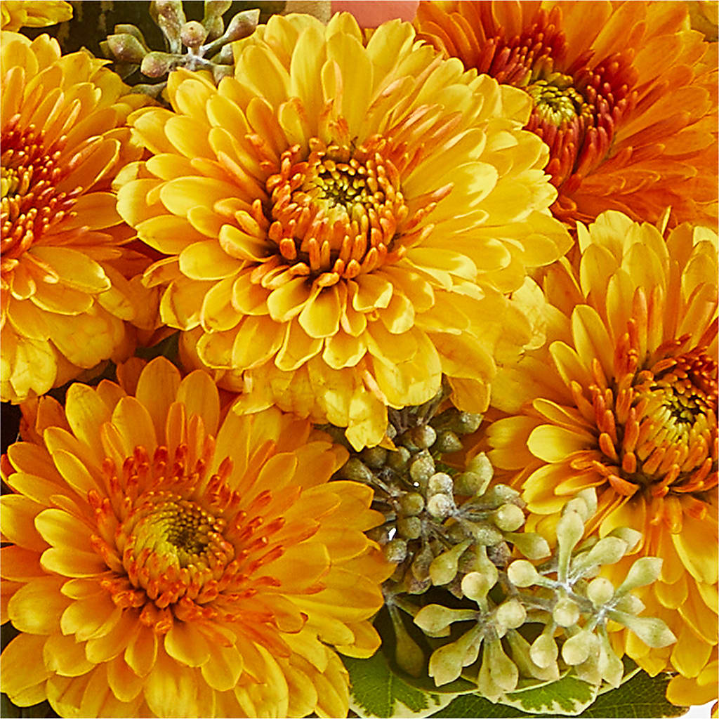 Peachy Pumpkin –  Portage Florals, Portage PA