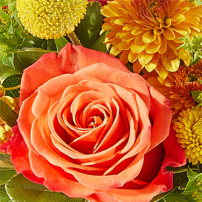 Gourdgeous Pumpkin –  Portage Florals, Portage PA