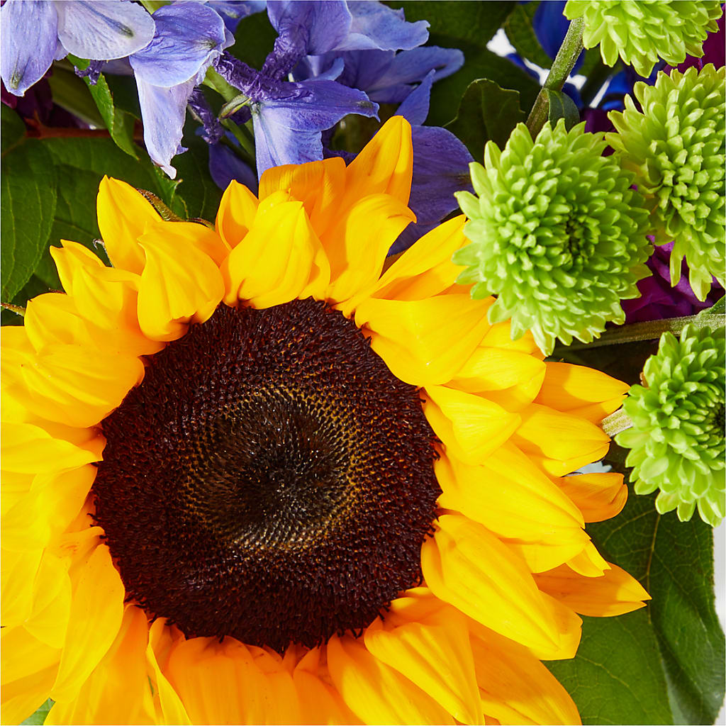 Catching Rays Bouquet –  Portage Florals, Portage PA