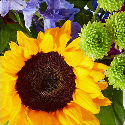 Catching Rays Bouquet –  Portage Florals, Portage PA