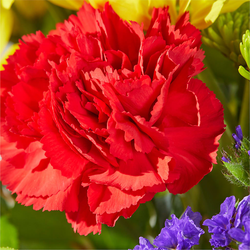 Brighter Days Bouquet –  Portage Florals, Portage PA