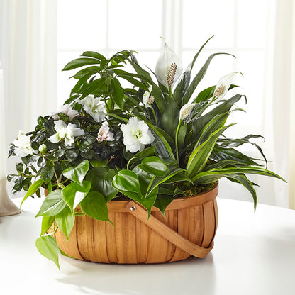 Serene Dishgarden –  Portage Florals, Portage PA
