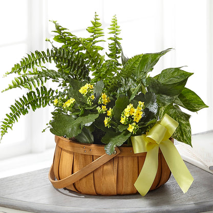 Always Dear Dishgarden –  Portage Florals, Portage PA