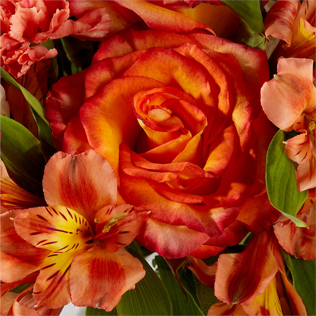 Apricot Glow Bouquet –  Portage Florals, Portage PA