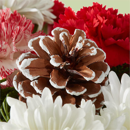 Candy Cane Lane Bouquet –  Portage Florals, Portage PA