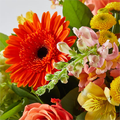 Autumn Sunshine Bouquet –  Portage Florals, Portage PA