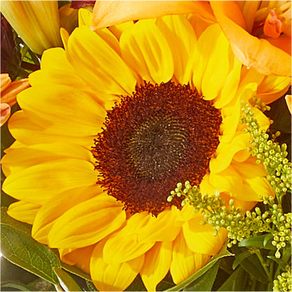 Seasons Change Bouquet –  Portage Florals, Portage PA