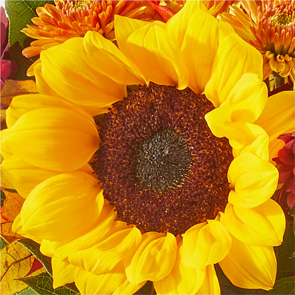 Sunny Side Bouquet –  Portage Florals, Portage PA