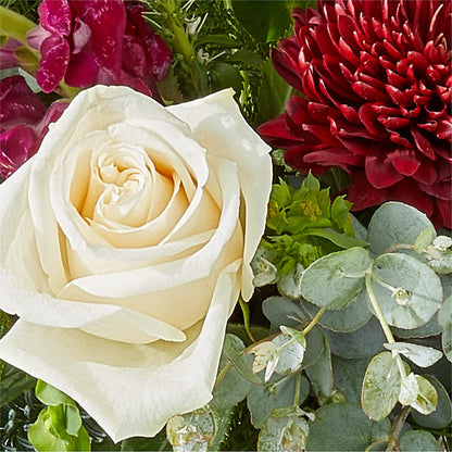 Cranberry Fizz Bouquet –  Portage Florals, Portage PA
