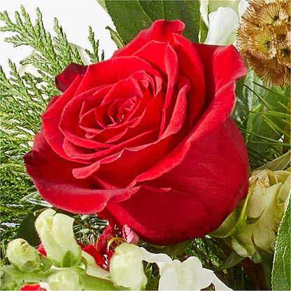 Deck the Halls Bouquet –  Portage Florals, Portage PA