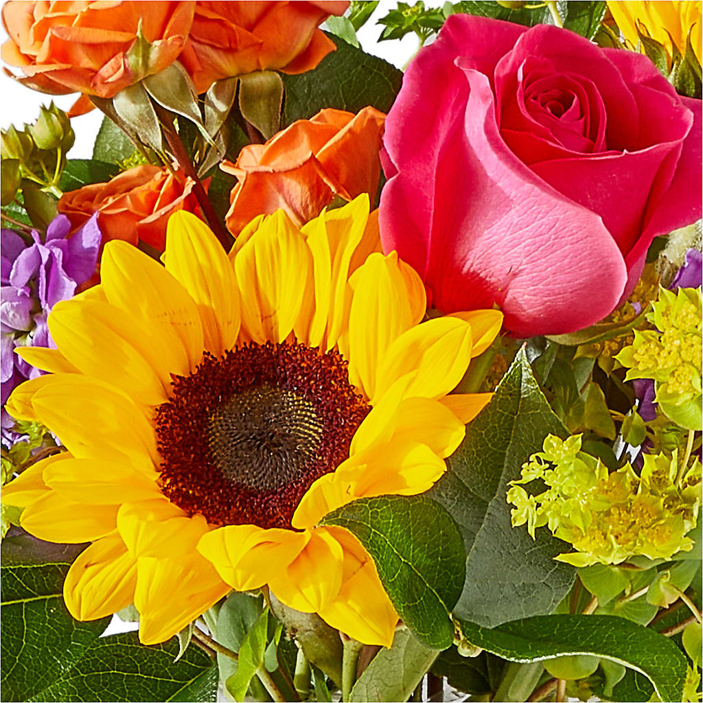 Vibrant Greetings Bouquet –  Portage Florals, Portage PA
