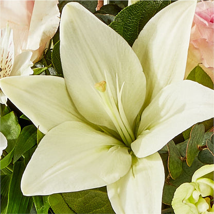 Ballet Slippers Bouquet –  Portage Florals, Portage PA