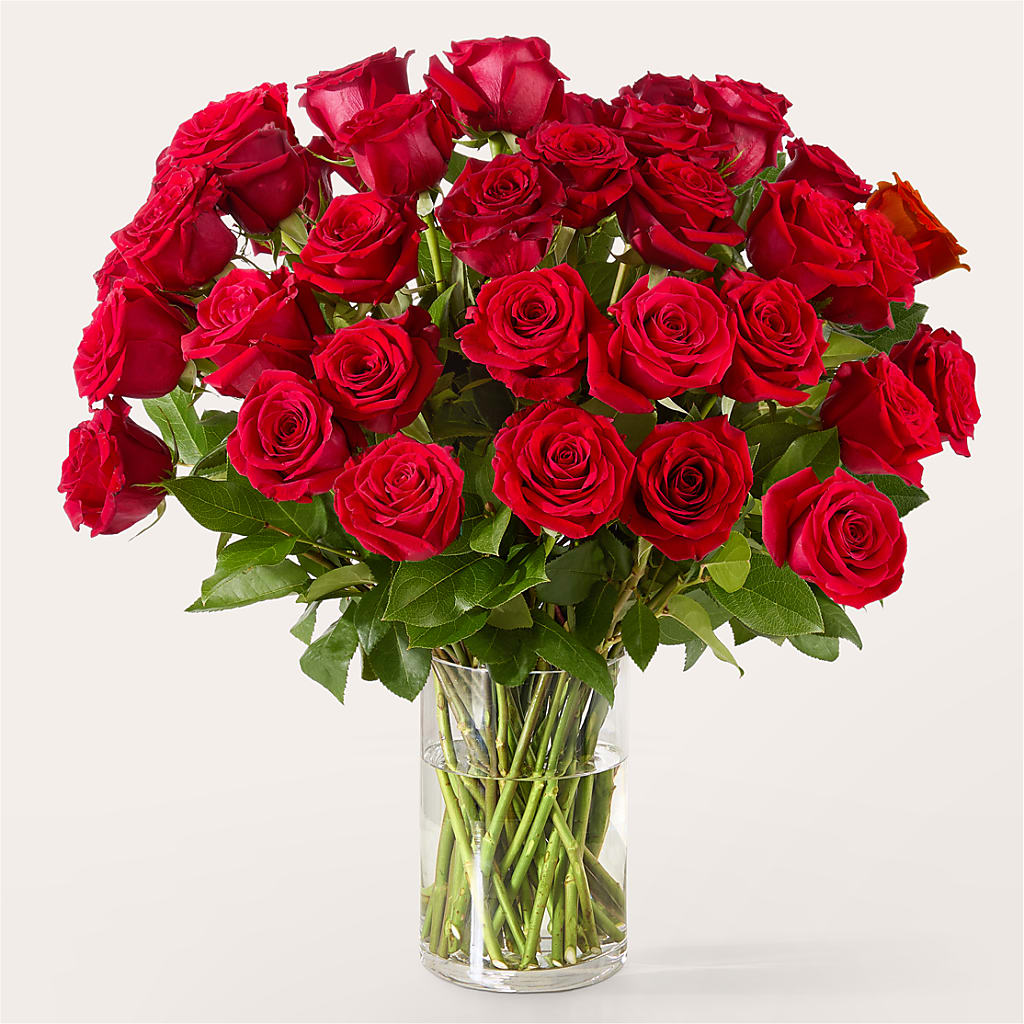 The One Red Rose Bouquet –  Portage Florals, Portage PA