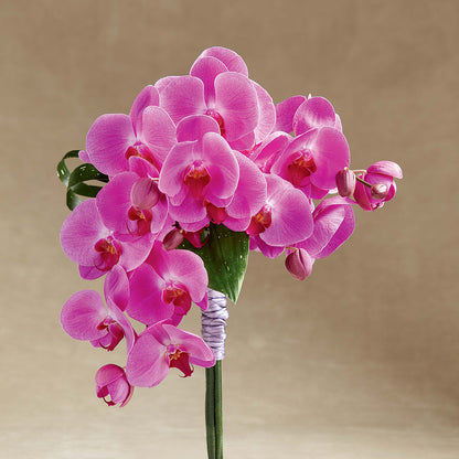 Glorious Bouquet –  Portage Florals, Portage PA