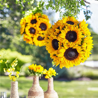 Sublime Garden Hanging Arrangement –  Portage Florals, Portage PA