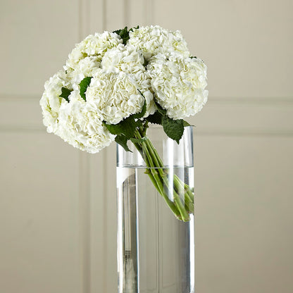 White Hydrangea Hand-Tied Bouquet –  Portage Florals, Portage PA