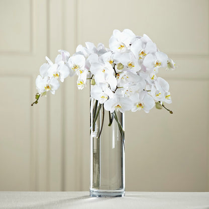 White Phalaenopsis Bouquet –  Portage Florals, Portage PA